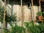 DSCF2056.JPG