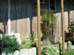DSCF2065.JPG