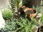 DSCF2059.JPG