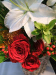 DSCF2094.JPG