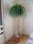 DSCF2044.JPG
