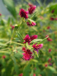 P9250159.JPG