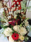 PC050251.JPG