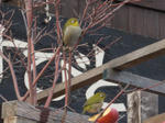 DSCN0539.jpg