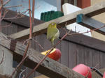 DSCN0546.jpg