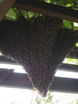 DSCN1194.JPG