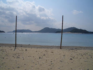 海