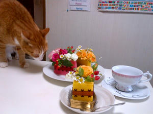 IMG-20130423-00259.jpg