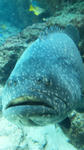 DVC00424.JPG