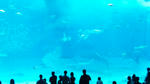 DVC00430.JPG