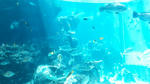 DVC00425.JPG