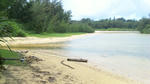 DVC00410.JPG
