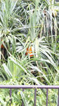 DVC00401.JPG