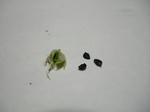 DSCN0593.JPG