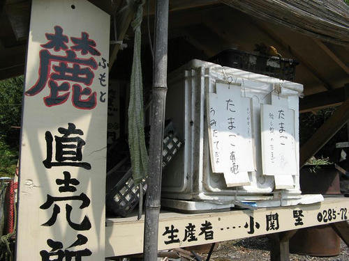 IMG_2655000.JPG