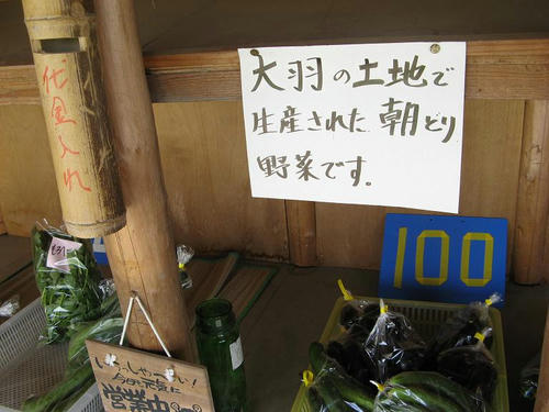 IMG_2678000.JPG