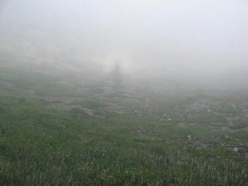 IMG_2979000.JPG