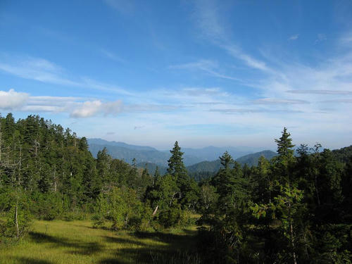 IMG_3139000.JPG