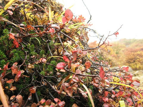 IMG_4620000.JPG
