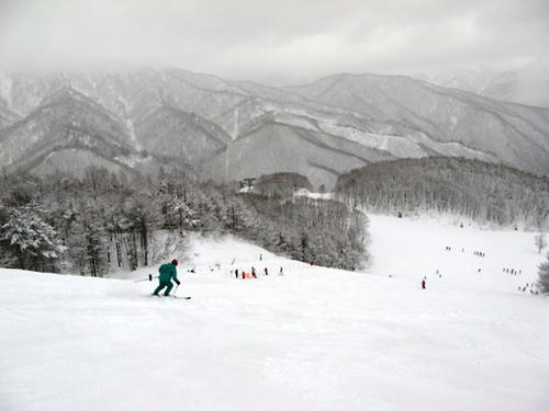 IMG_7361000.JPG
