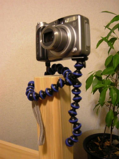 d78c70ca.JPG