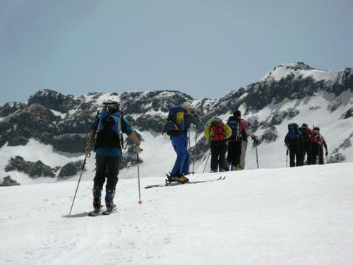IMG_2921.jpg