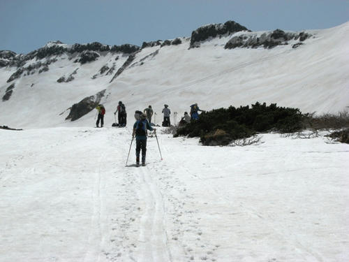IMG_2924.jpg