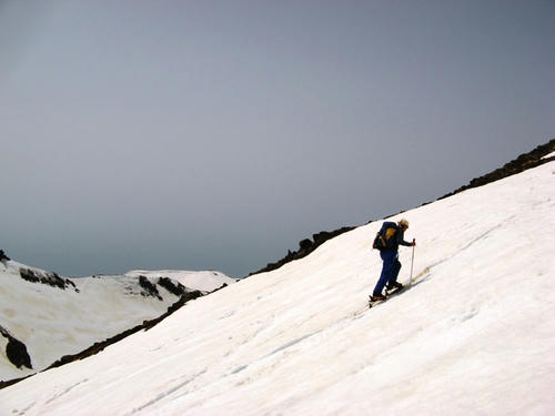 IMG_2968.jpg