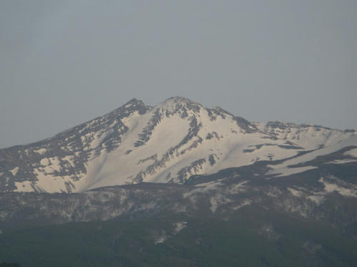 IMG_3172.jpg