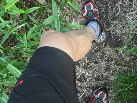 IMG_4233000.jpg