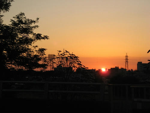 IMG_1217000.JPG