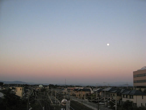 IMG_1219000.JPG
