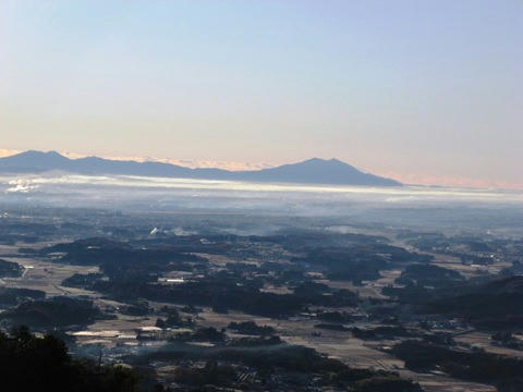 IMG_1537000.JPG