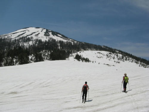 IMG_1336000.JPG