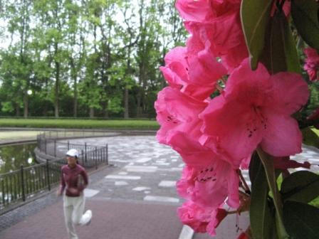IMG_1942000.JPG