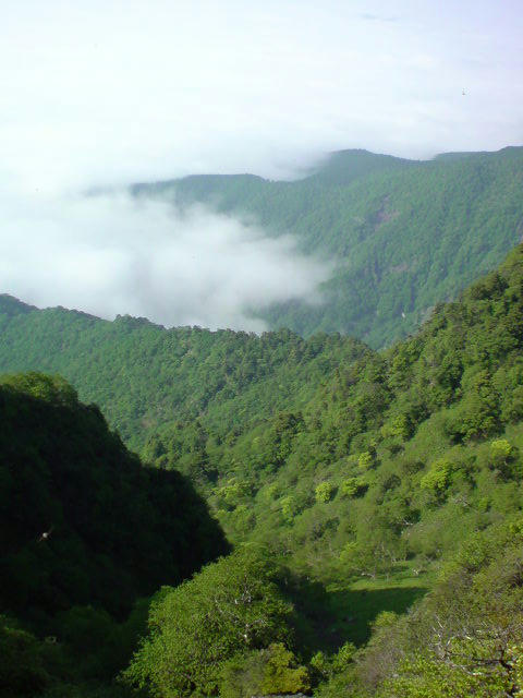 DSC00678.JPG