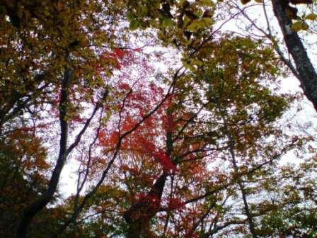DSC00210000.JPG