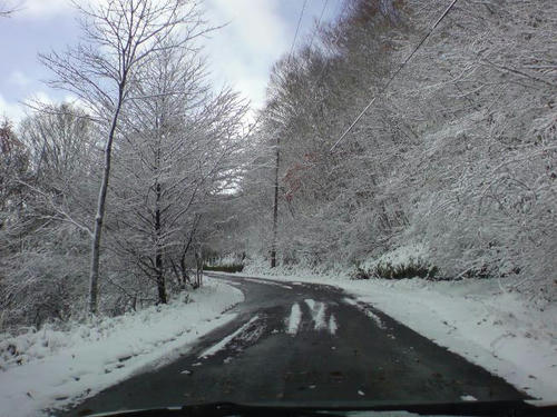 DSC00416000.JPG