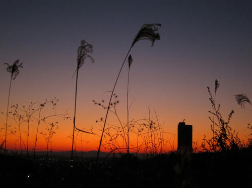 IMG_1058000.JPG