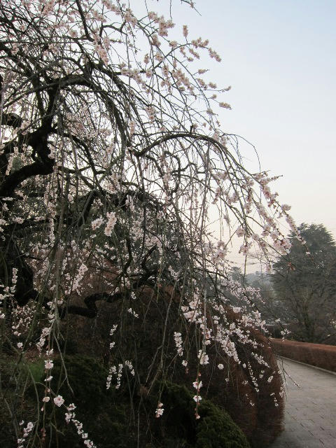 IMG_2827000.JPG