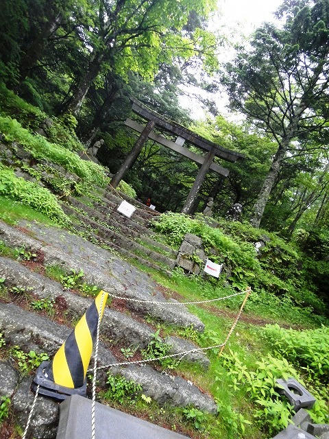 DSC01263111.jpg