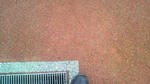 2009120915110002.jpg
