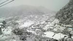 2010011308370000.jpg