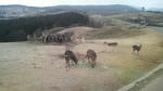 2010011110290000.jpg