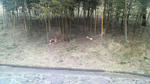 2010011110340000.jpg