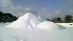 2010011409510000.jpg