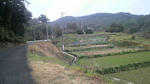 2010020116110000.jpg