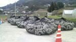 2010021416100000.jpg