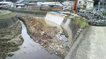 2010021416120001.jpg