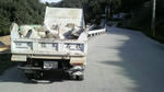 2010021709350000.jpg